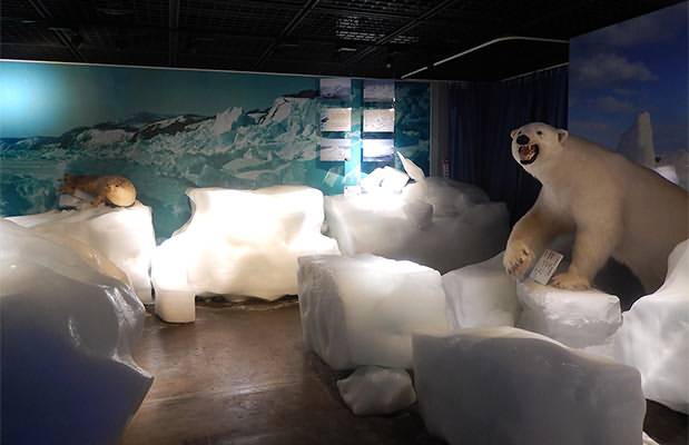 Okhotsk Sea Ice Museum of Hokkaido